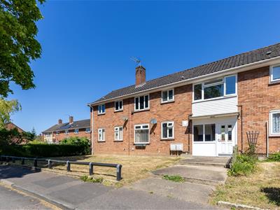 Picture 20